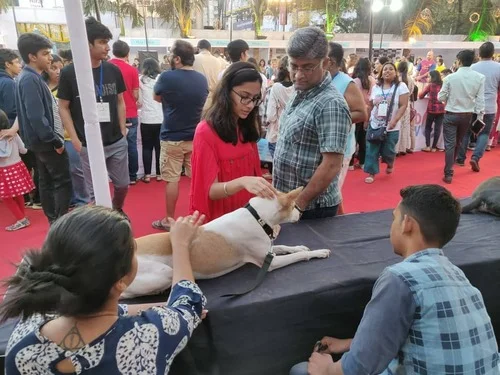 49787378_1911108512321867_7119184575481249792_n-1